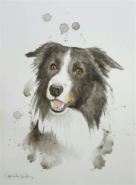 Border Collie Watercolor Pet Portraits Retratos De Pet Em Aquarela Por