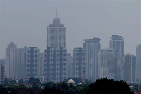 Indonesia akan memindahkan ibu kota dari Jakarta ke kawasan hutan ...