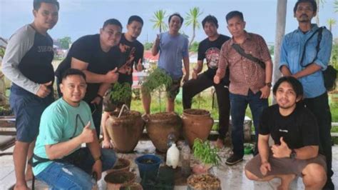 Pria Di Gowa Tanam Ganja Di Vila Mewahnya Berdalih Untuk Terapi