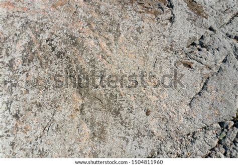 Close Footage Gneiss Rock Texture Background Stock Photo 1504811960 ...