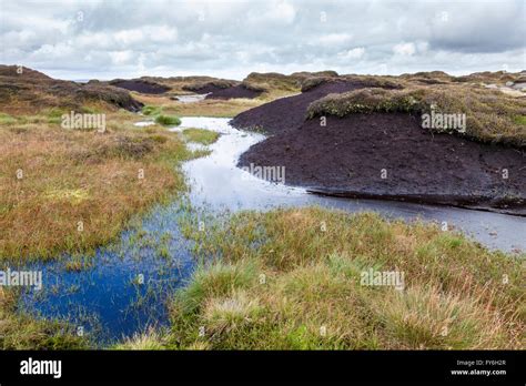 Blanket peat bog moor on Kinder Scout, Derbyshire, Peak District ...