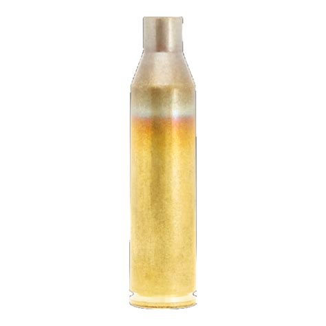 Lapua Brass 300 Norma Magnum 100 Bruno Shooters Supply