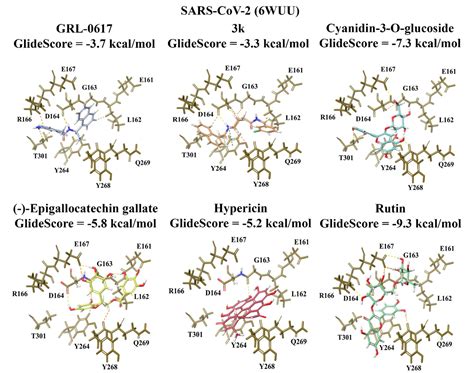 Identification Of Small Molecule Inhibitors Of The Deubiquitinating