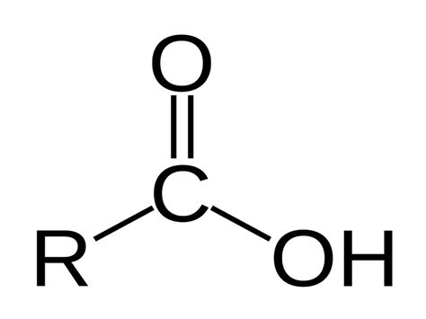 Carboxylic Acid: Examples & Uses – StudiousGuy