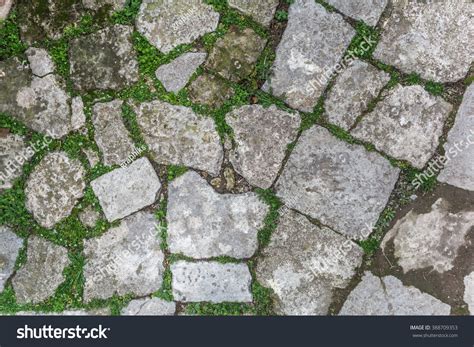 Cobblestone With Grass Texture , Stone Path With Grass Texture , Cobblestone Path Texture ...