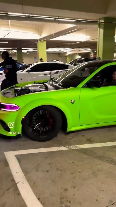 Hellcats Fighting 😭🔥 Hellcat Shorts Youtube