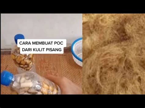 Cara Membuat Poc Dari Kulit Pisang Youtube