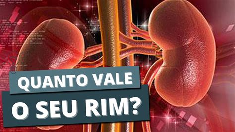 QUANTO CUSTA UM RIM O que você não queria saber YouTube