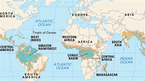 Names Of Tropical Rainforests