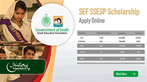 Sef Ssesp Sindh Scholarship 2023 Apply Online