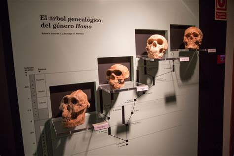 Researcher Find That Ancient DNA is Rewriting Human History - InsideHook