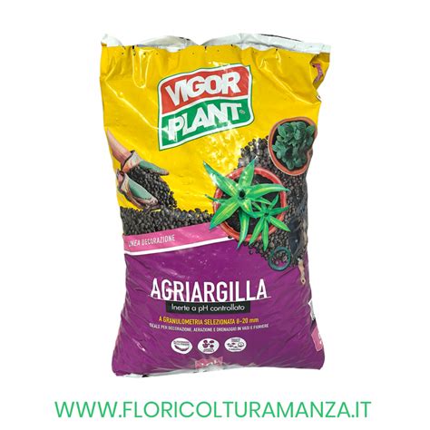 ARGILLA ESPANSA 1O LT VIGORPLANT