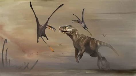 Newly Discovered Pterosaur Was Earths First Ever Giant Flying Creature