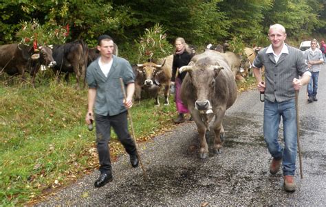 Muhlbach Sur Munster Octobre E F Te De La Transhumance Muhlbach