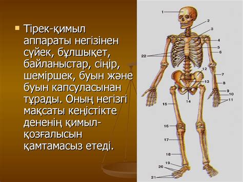 Адам ?А??Асы Слайд - 67 фото