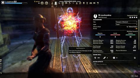 Eso Stam Sorc Build Thunderous Applause Youtube