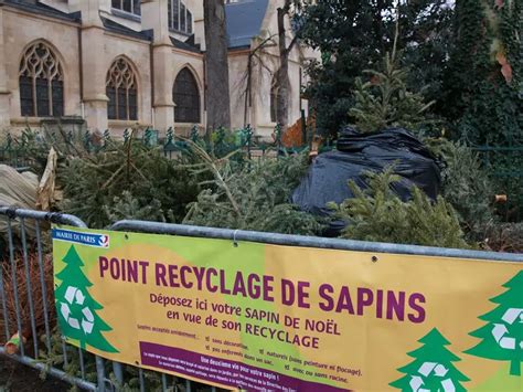 Comment recycler son sapin de Noël après les fêtes 8 gestes écolos à