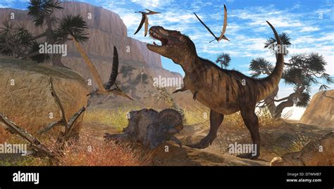 A Tyrannosaurus Rex Dinosaur Tries To Eat His Triceratops Kill When