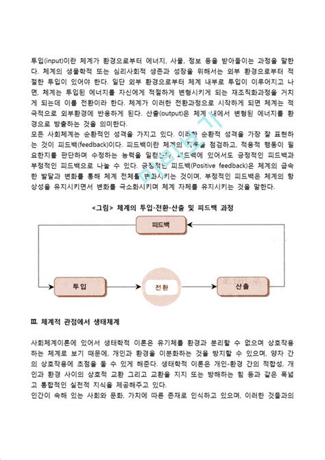 브론펜브레너의 생태체계이론 인문사회레포트