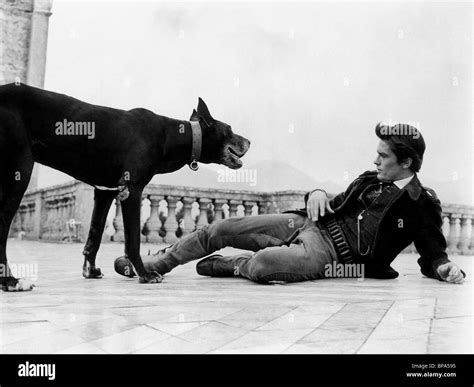 Alain Delon With Dog