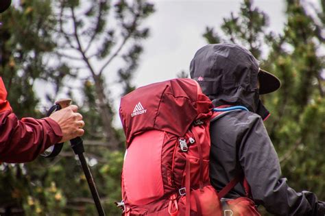 Szlaki trekkingowe w Alpach dla początkujących