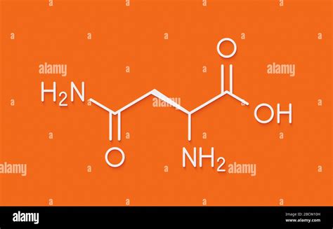 Asparagine Asn Amino Acid Molecular Hi Res Stock Photography And Images