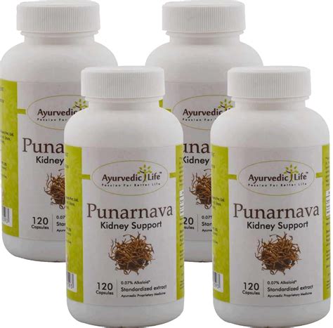 Buy AYURVEDIC LIFE PUNARNVA CAPSULE 120 COUNT PACK OF 2 NATURAL Online