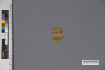 Papyrus Fragment P NYU Inv 0533 29 New York University Collection Of