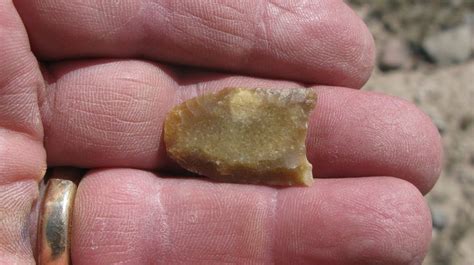 One Inch Long Folsom Projectile Point Found Within Ten Miles Of