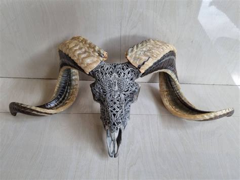 Carved Ram Skull Carving Floral Grey Natural Horn - Etsy