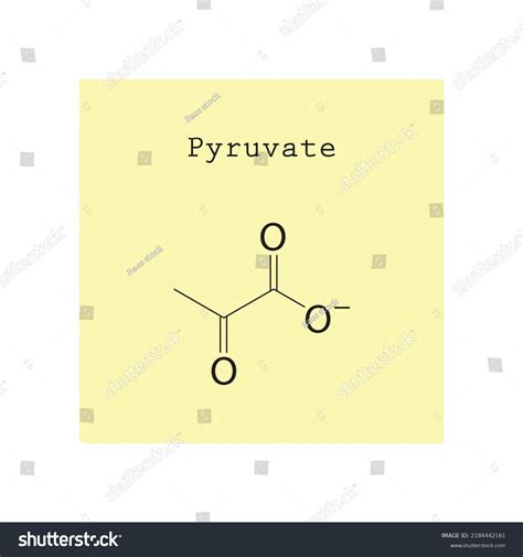 Pyruvate Chemical Structure On Yellow Background Stock Vector (Royalty ...