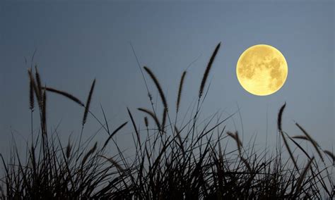 Luna Del Cazador La Luna Llena De Octubre