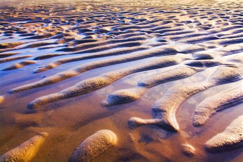 Sandwellen 이미지 찾아보기 402 스톡 사진 벡터 및 비디오 Adobe Stock