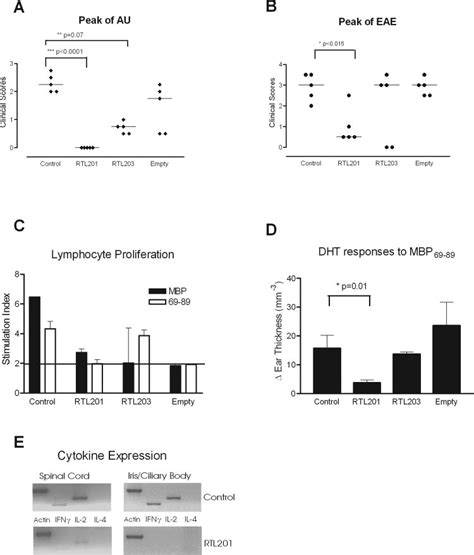 Treatment Of Au And Eae With Rtls In Lewis Rats A Protection From