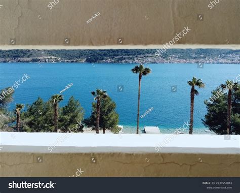 Dancing Naked Under Palm Trees Stock Photo 2230552843 Shutterstock