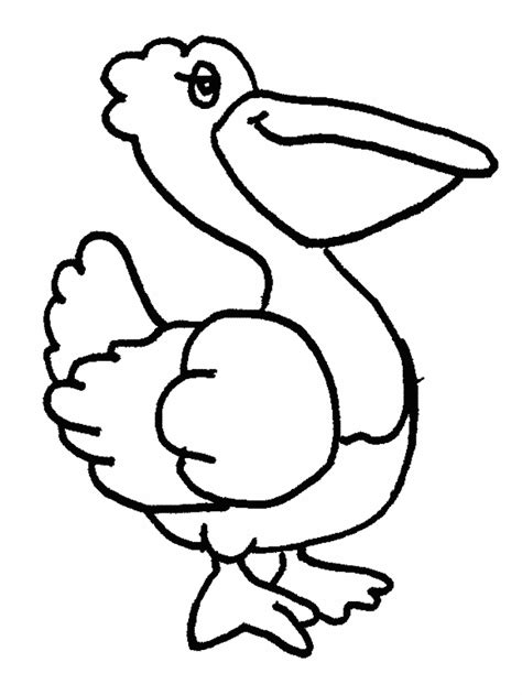 Pelican Coloring Page Animals Town Animals Color Sheet Pelican