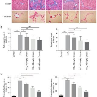 Emodin Inhibits Ccl Induced Suppression Of Liver Function A