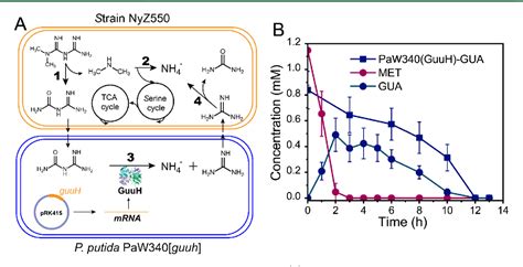 Figure From Aerobic Degradation Of The Antidiabetic Drug Metformin By