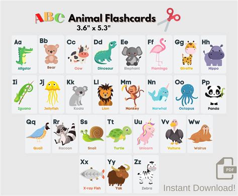 Animal Alphabet Flash Cards Abc Animal Flash Cards Alphabet Cards