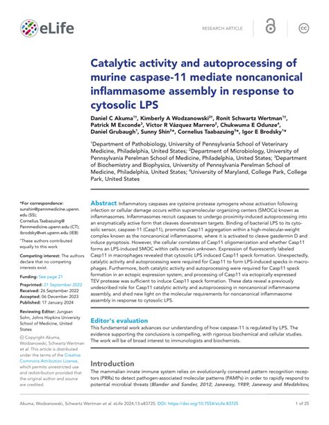 Pdf Catalytic Activity And Autoprocessing Of Murine Caspase