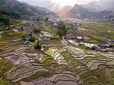 Terraced Rice Fields In Sapa By Stocksy Contributor Bisual Studio