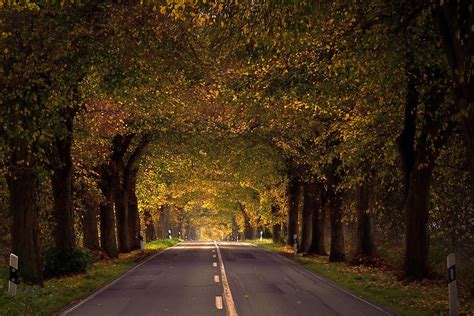 Allee Stra E Herbst Kostenloses Foto Auf Pixabay