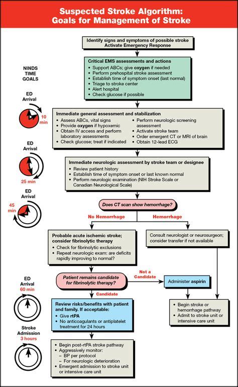 Suspected Stroke Algorithm Card 25 Pk 90 1024 Acls Cardiac Nursing Nurse Practitioner