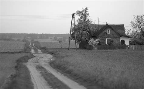 Dirt Road through Countryside · Free Stock Photo