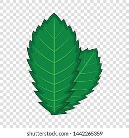 Elm Leaf Icon Cartoon Illustration Elm Stock Vector Royalty Free