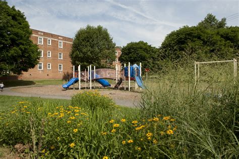 Exploring Juniper Green: Neighborhood Guide and Community Profile 5