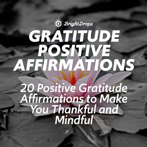 20 Positive Gratitude Affirmations To Make You Thankful And Mindful