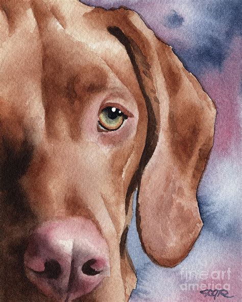 Hungarian Vizsla Painting By David Rogers Fine Art America