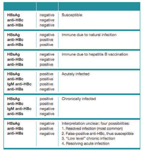 Hepatitis B Serologie - Hepatitis B Serologie Wie Erfolgt Die ...