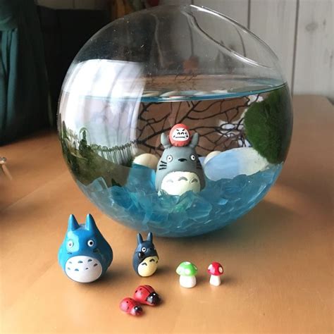 How To DIY Japanese Marimo Moss Ball Terrarium Marimo Moss Ball